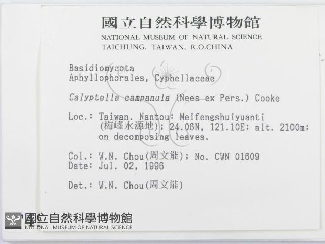 登錄號:F0004955藏品圖，第2張