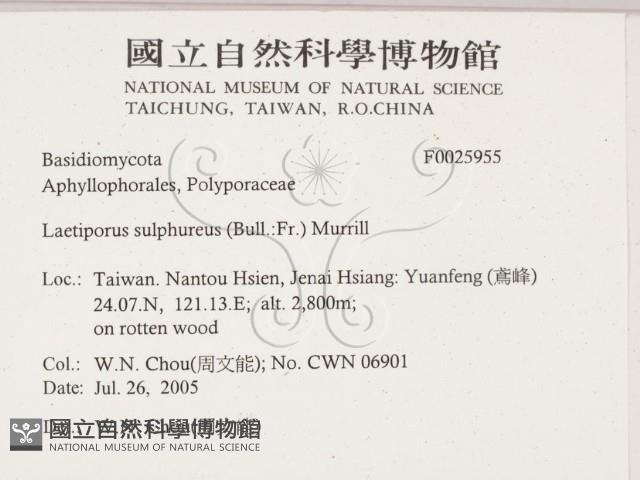 登錄號:F0025955藏品圖，第2張