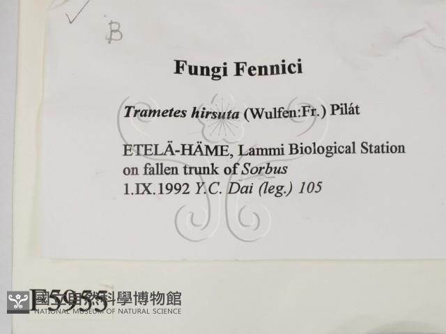 登錄號:F0005955藏品圖，第2張