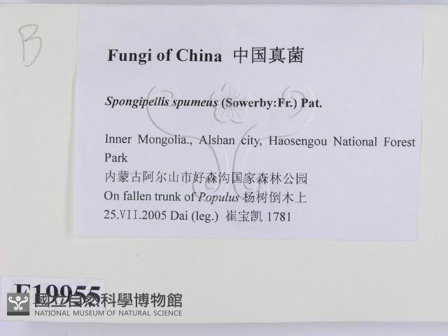 登錄號:F0019955藏品圖，第2張