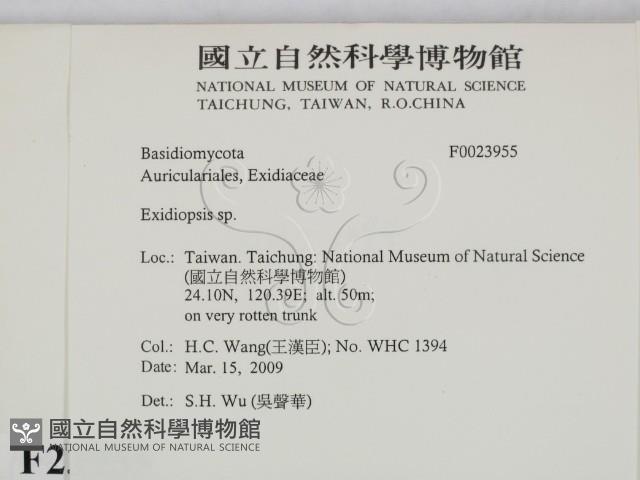 登錄號:F0023955藏品圖，第2張