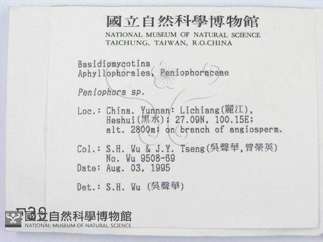 筍殼菌屬藏品圖，第2張