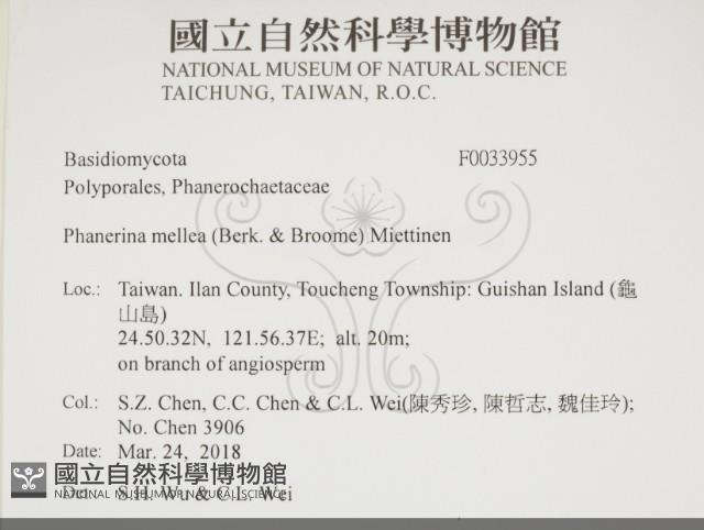 登錄號:F0033955藏品圖，第2張