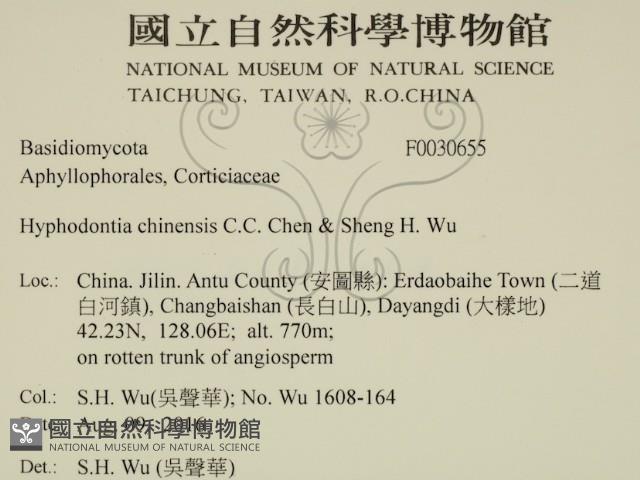 登錄號:F0030655藏品圖，第2張