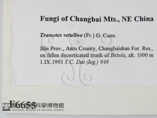 登錄號:F0006655藏品圖，第2張