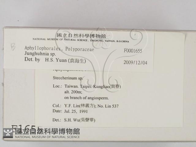 容氏菌屬藏品圖，第2張