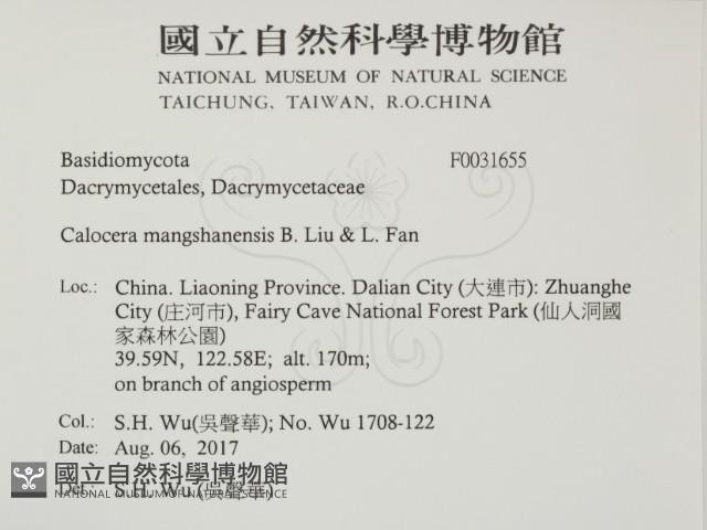 登錄號:F0031655藏品圖，第2張