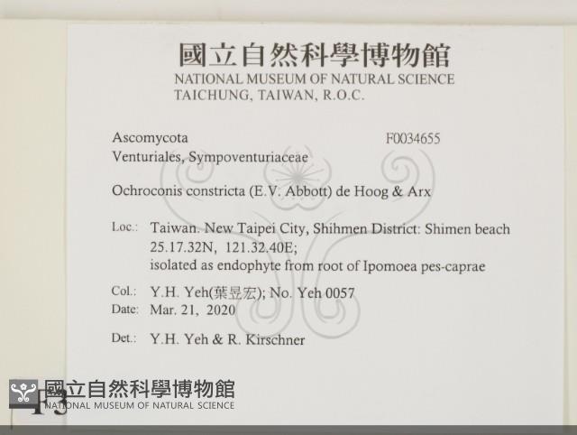 登錄號:F0034655藏品圖，第2張