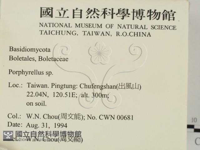 登錄號:F0002655藏品圖，第2張