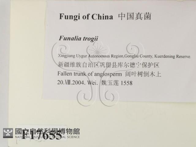 登錄號:F0017655藏品圖，第2張