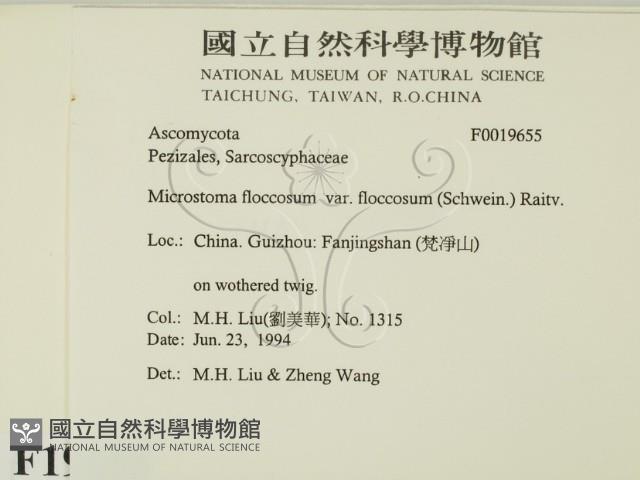 登錄號:F0019655藏品圖，第2張