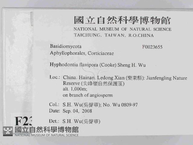 登錄號:F0023655藏品圖，第2張