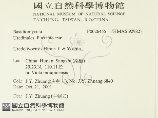 登錄號:F0026455藏品圖，第2張