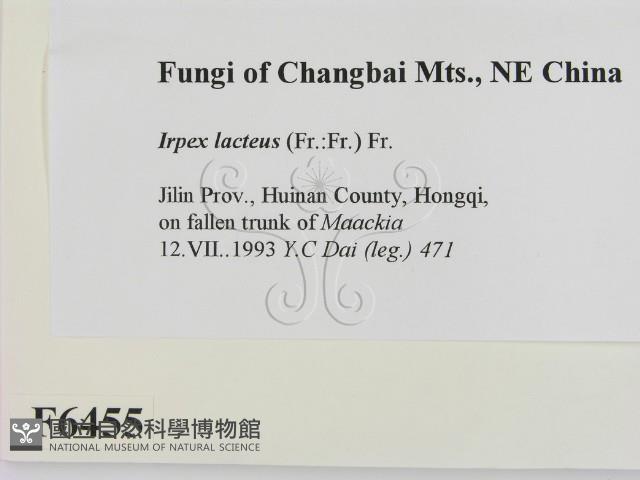 登錄號:F0006455藏品圖，第2張