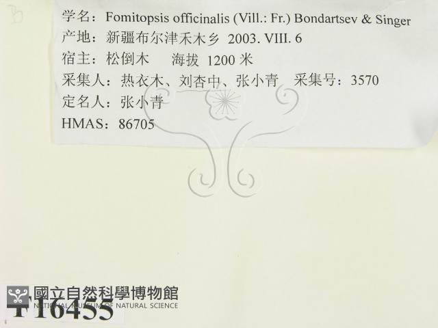 登錄號:F0016455藏品圖，第2張