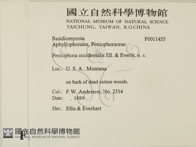 登錄號:F0011455藏品圖，第2張