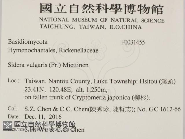 登錄號:F0031455藏品圖，第2張