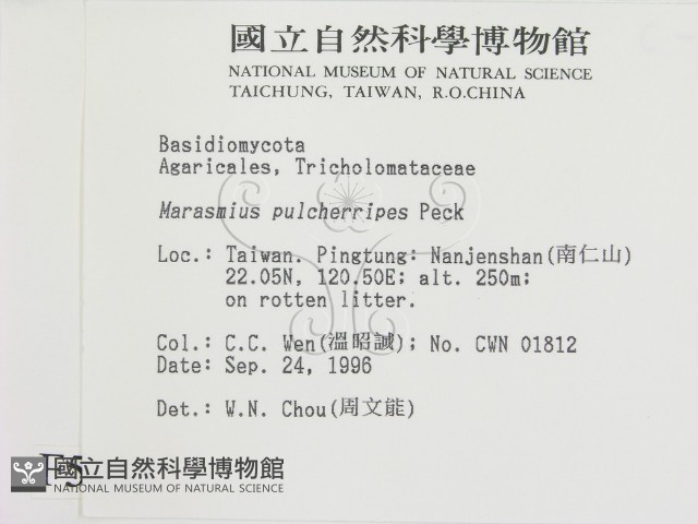 登錄號:F0005455藏品圖，第2張