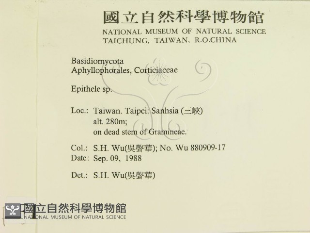 登錄號:F0015455藏品圖，第2張