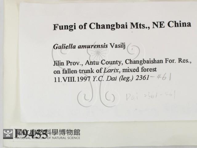 登錄號:F0009455藏品圖，第2張