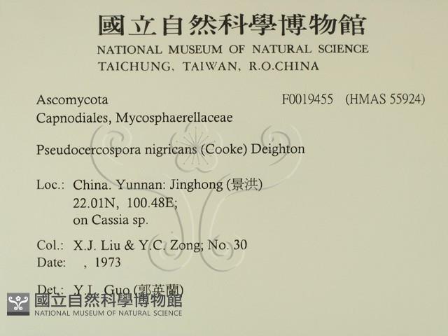 登錄號:F0019455藏品圖，第2張