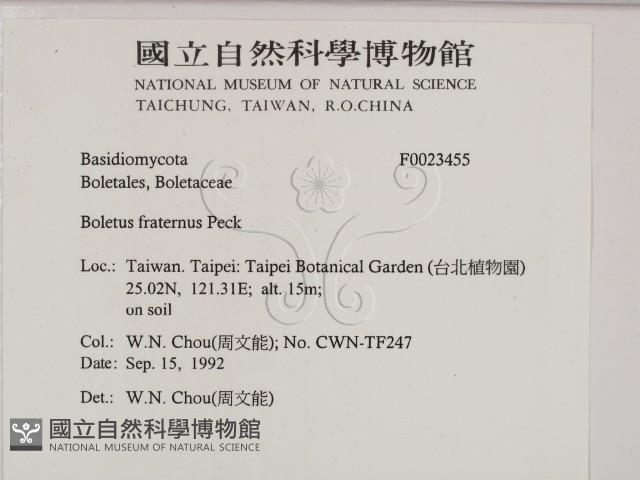 登錄號:F0023455藏品圖，第2張