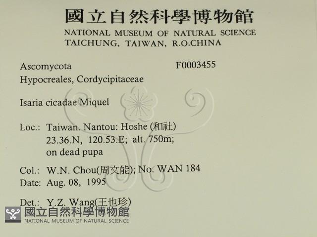 登錄號:F0003455藏品圖，第2張