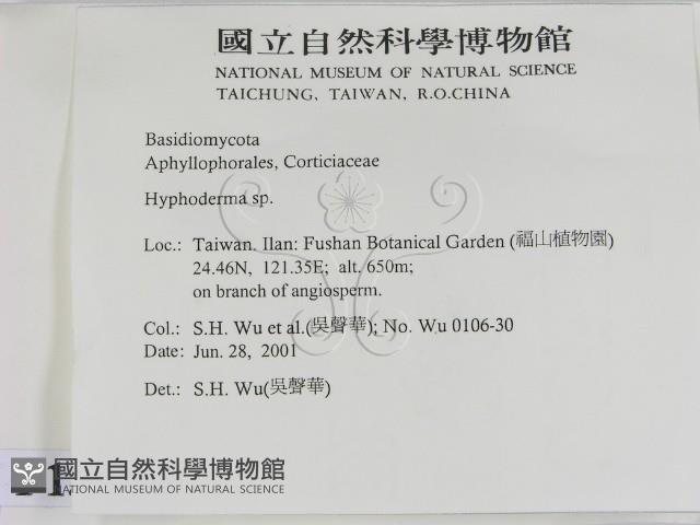 絲皮菌屬藏品圖，第2張