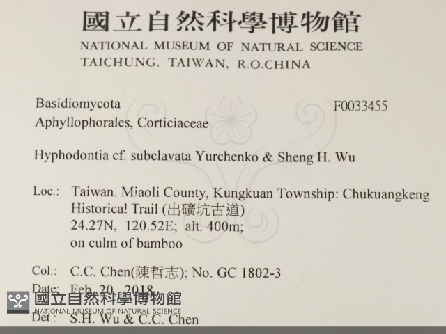 登錄號:F0033455藏品圖，第2張