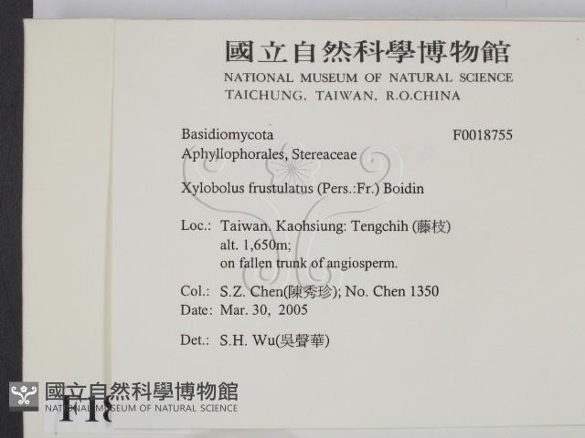 登錄號:F0018755藏品圖，第2張