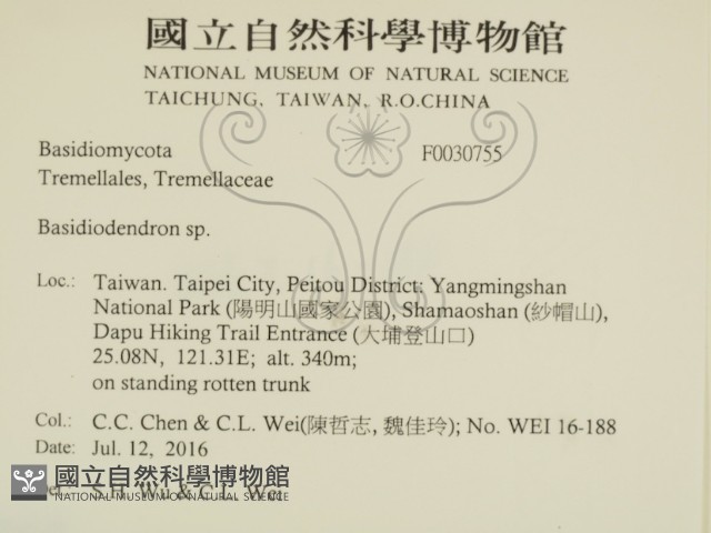 登錄號:F0030755藏品圖，第2張