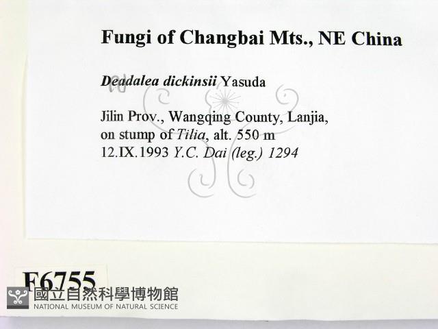 登錄號:F0006755藏品圖，第2張