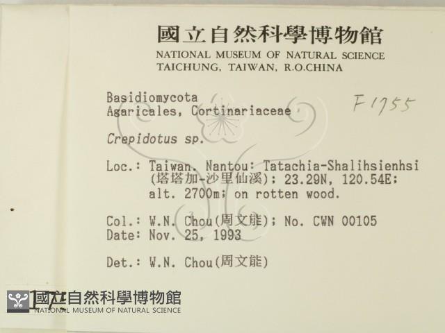 登錄號:F0001755藏品圖，第2張