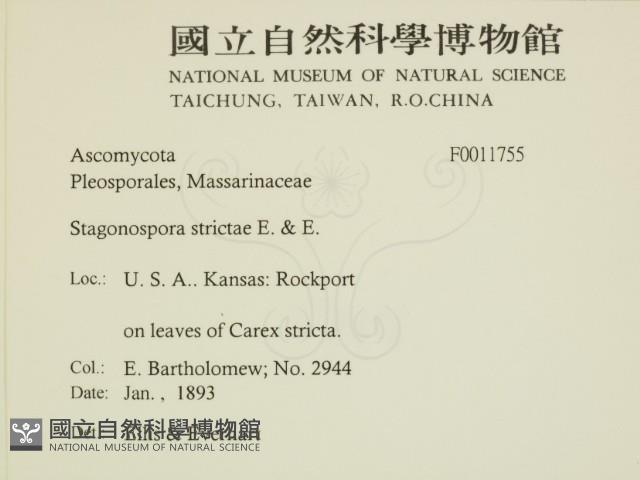 登錄號:F0011755藏品圖，第2張