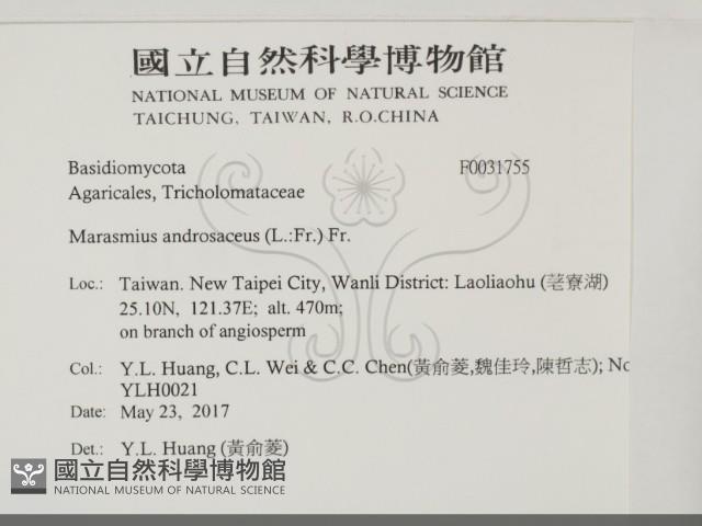 登錄號:F0031755藏品圖，第2張