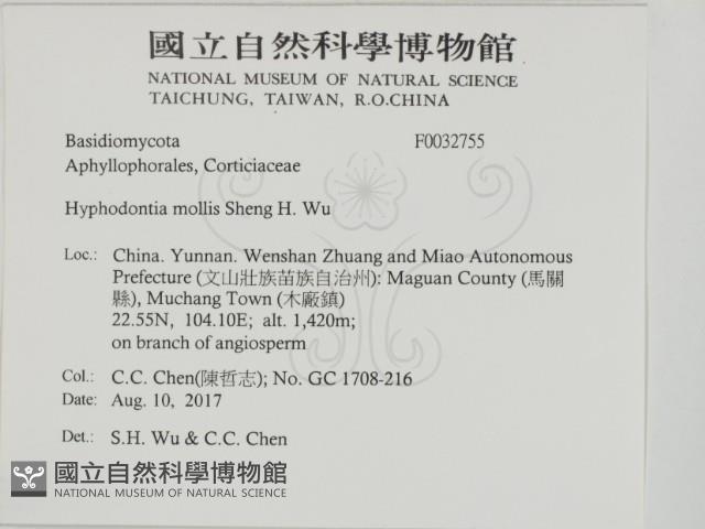 登錄號:F0032755藏品圖，第2張