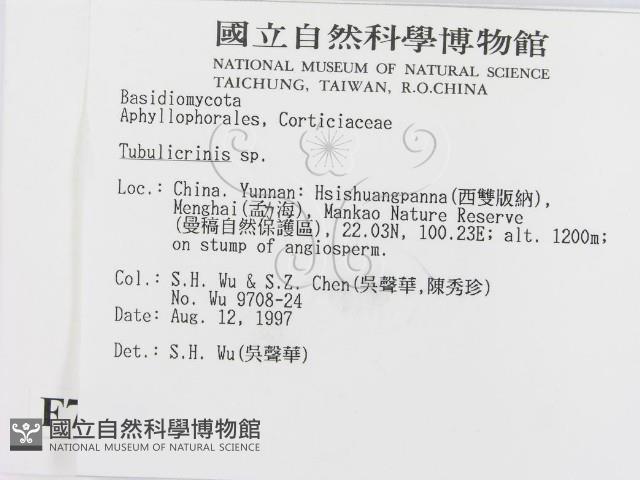 登錄號:F0007755藏品圖，第2張