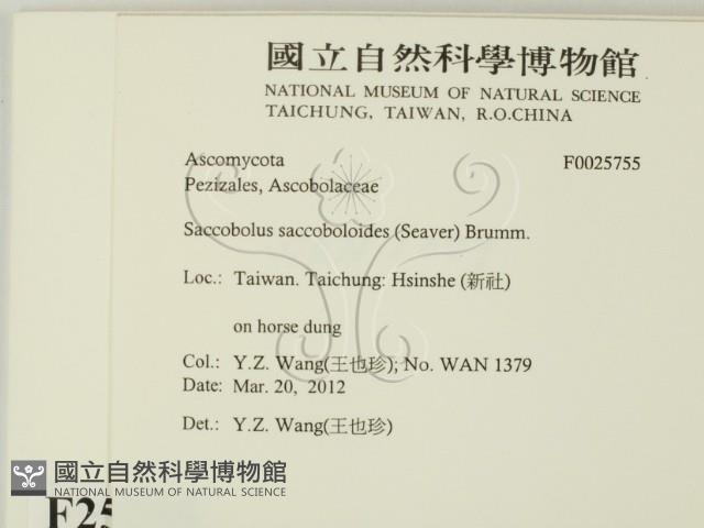 登錄號:F0025755藏品圖，第2張