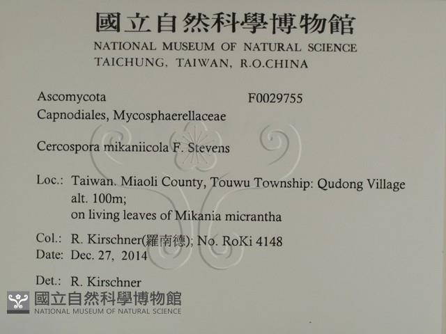 登錄號:F0029755藏品圖，第2張