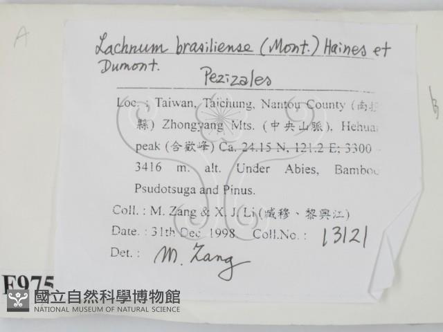 登錄號:F0009755藏品圖，第2張