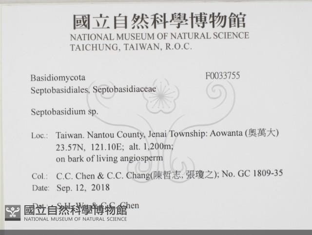 登錄號:F0033755藏品圖，第2張