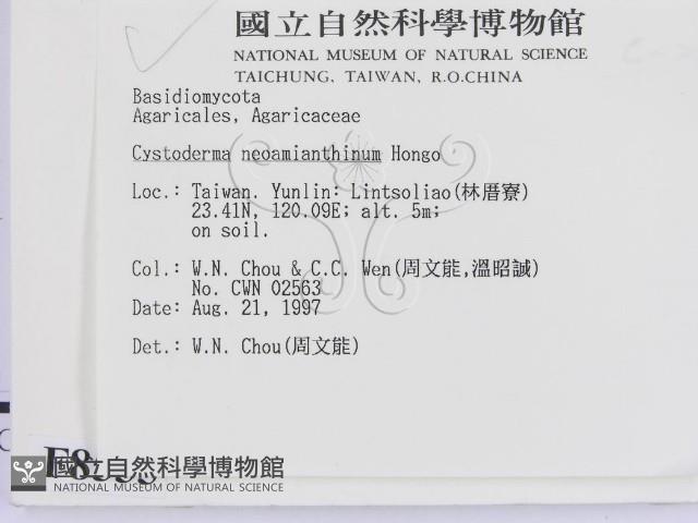 登錄號:F0008555藏品圖，第2張