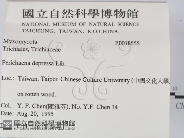 登錄號:F0018555藏品圖，第2張