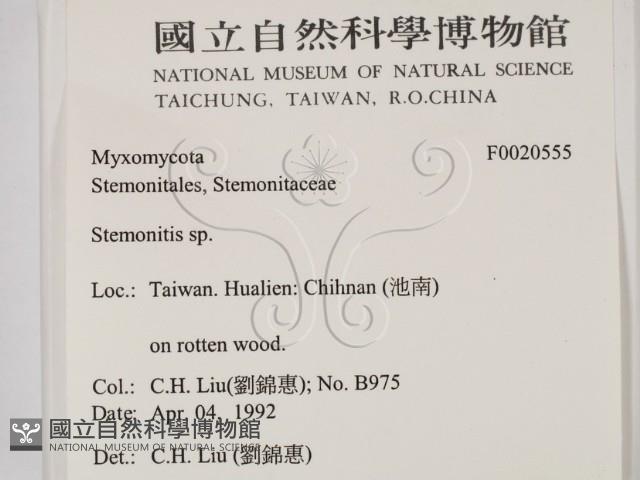 登錄號:F0020555藏品圖，第2張