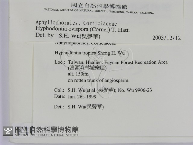 登錄號:F0010555藏品圖，第2張