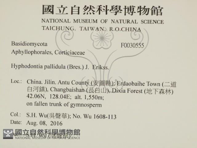 登錄號:F0030555藏品圖，第2張