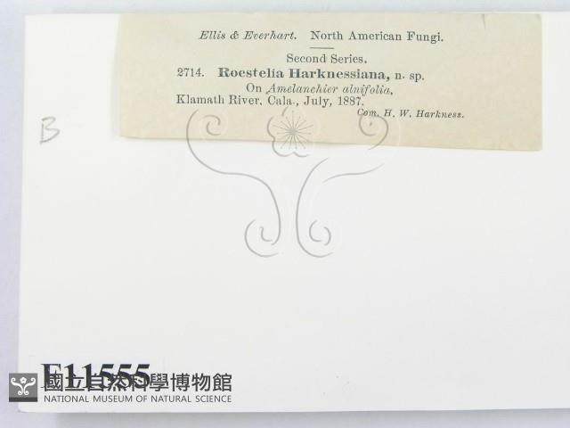 登錄號:F0011555藏品圖，第2張