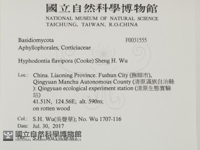 登錄號:F0031555藏品圖，第2張
