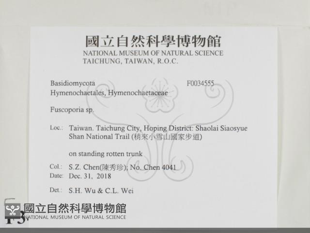 登錄號:F0034555藏品圖，第2張