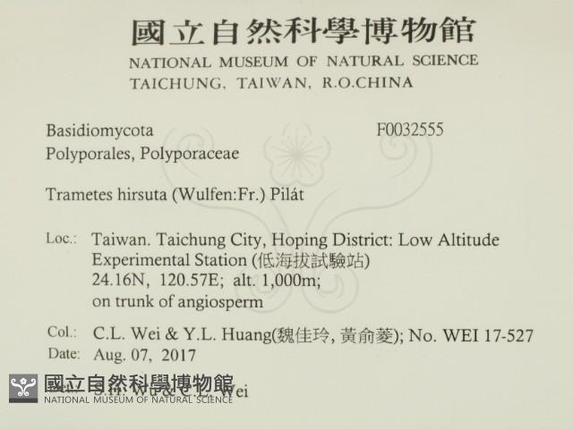 登錄號:F0032555藏品圖，第2張